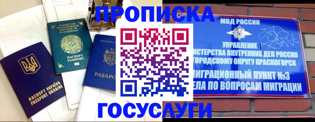 купить прописку в Бердске